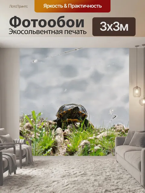 Фотообои Черепаха