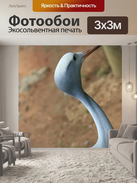 Фотообои Птица синий кран