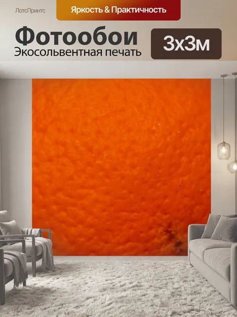 Фотообои Апельсин