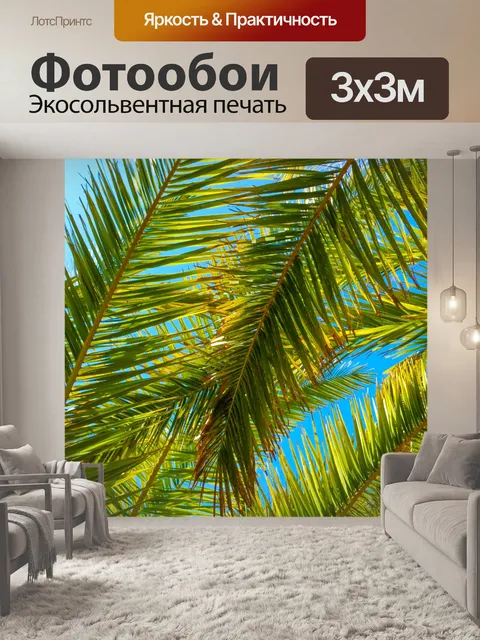 Фотообои Пальмовых листьев деревьев