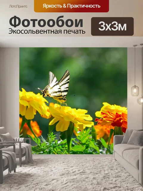 Фотообои Podalirio