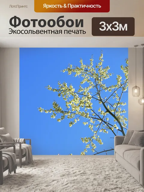 Фотообои Открытое небо