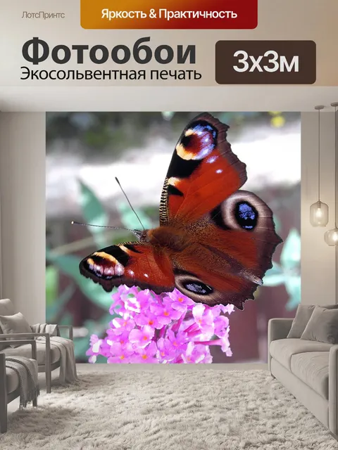 Фотообои Бабочка