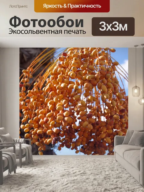 Фотообои Даты на финиковой пальме