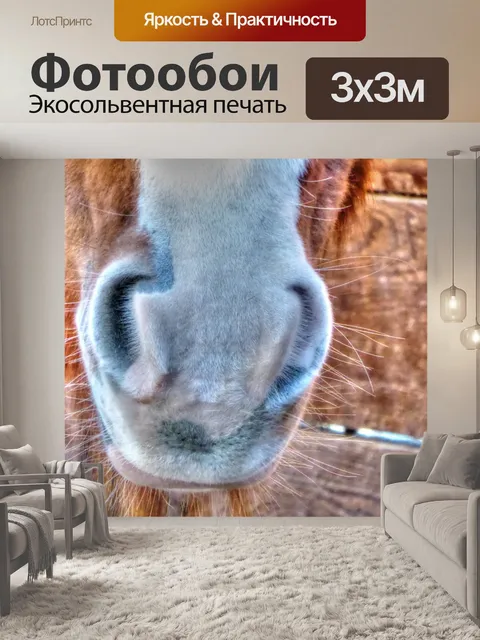 Фотообои Лошадиные ноздри