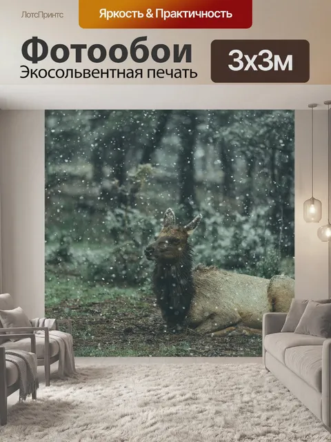 Фотообои Животное