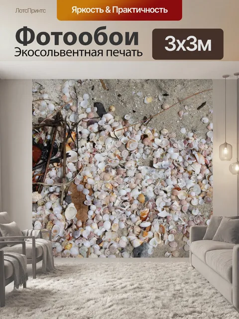 Фотообои Ракушки