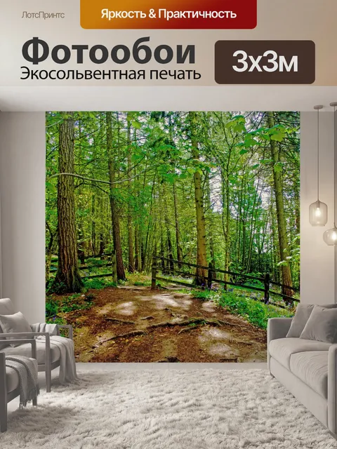 Фотообои Лес