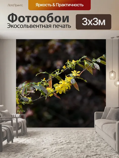 Фотообои Желтый цветок абрикоса