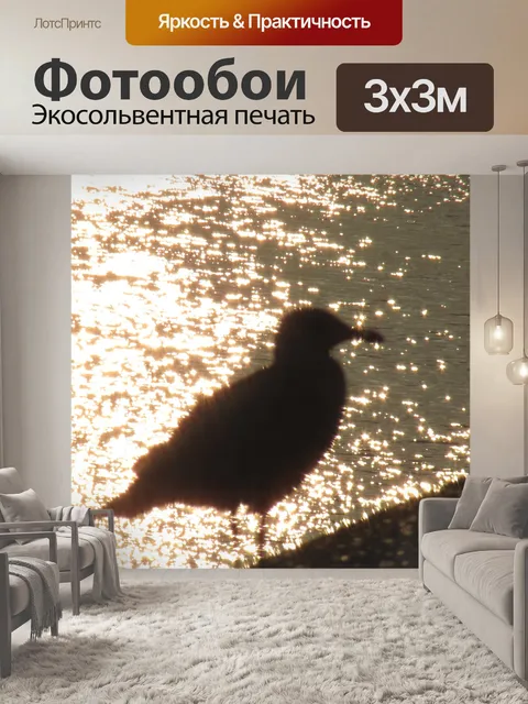 Фотообои Свет игру