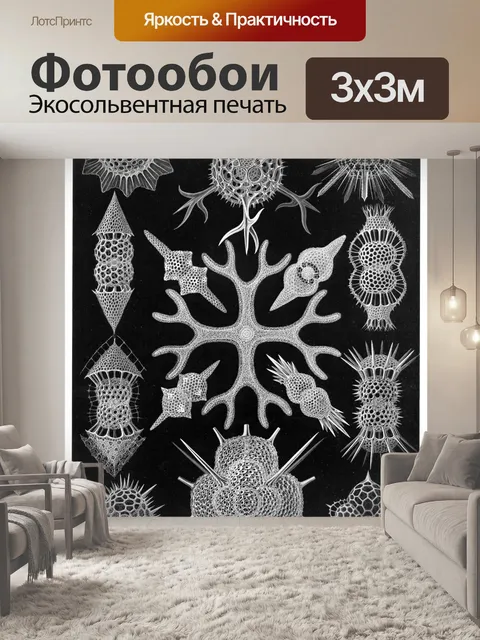 Фотообои Старинный старый Эрнст Геккель