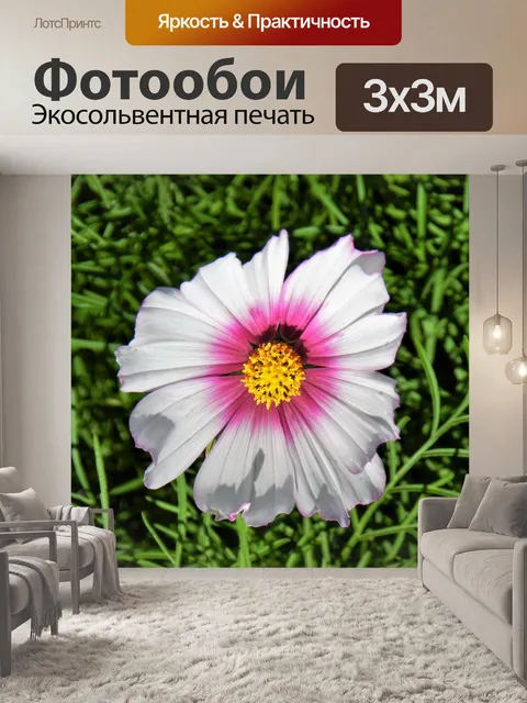 Фотообои Шипастый Космос 2019 - 1