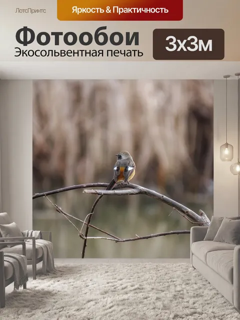 Фотообои Животное