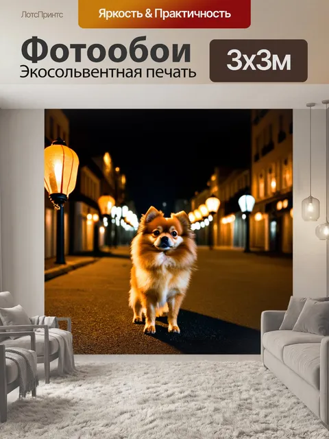 Фотообои ночной городской пейзаж, померанский шпиц, стоящий на ночной улице с фонарями, создающими мягкий свет