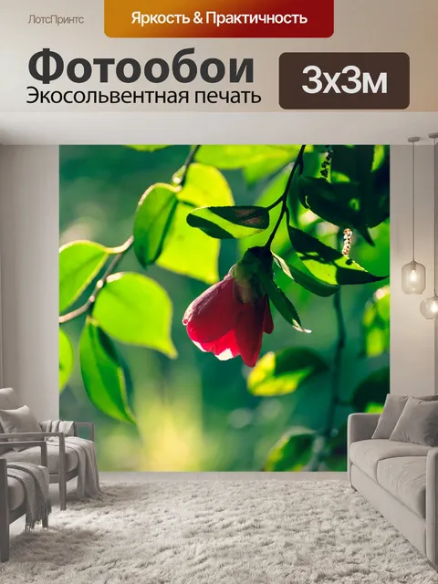 Фотообои Пейзаж