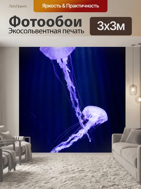 Фотообои медуза