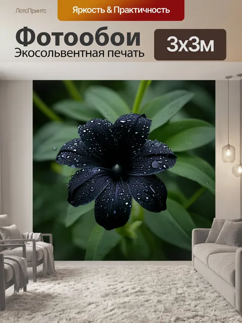 Фотообои черный, украшенные черными цветами с блестящими каплями росы на лепестках, создающие природу в бесконечности