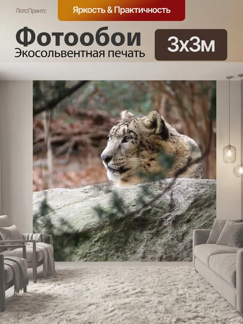 Фотообои Снежный барс
