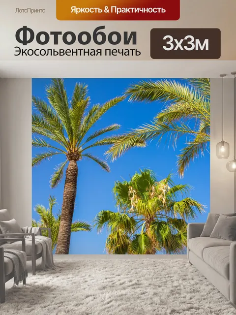 Фотообои Пальмы и голубое небо