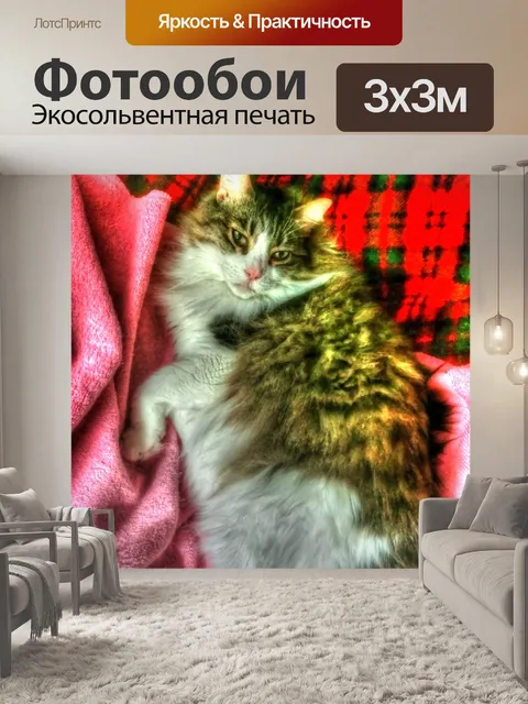 Фотообои Пушистый кот