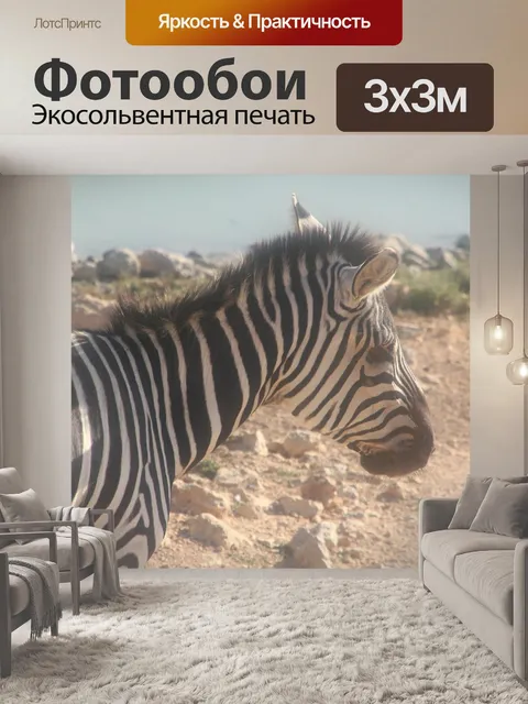 Фотообои Зебра