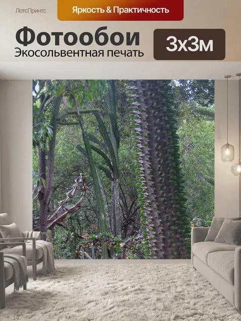 Фотообои маленькие листья на стволе кактуса