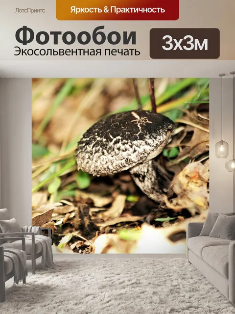 Фотообои Черно-белый гриб