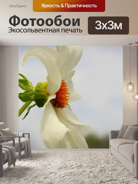 Фотообои Георгин