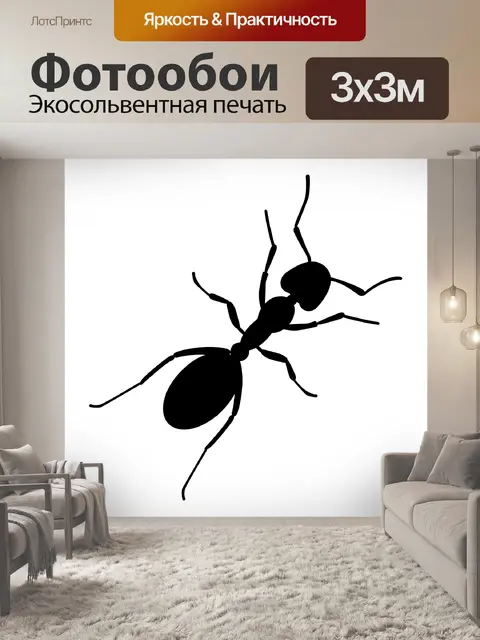 Фотообои муравей силуэт