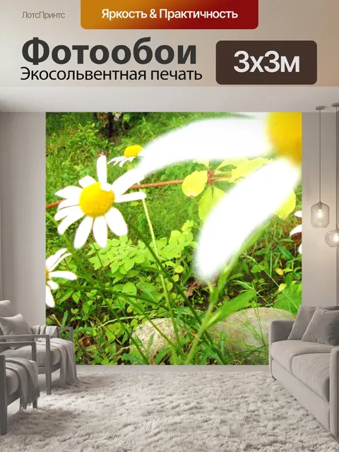 Фотообои Полевые цветы