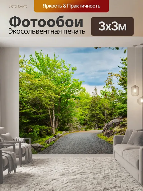Фотообои Старая дорога