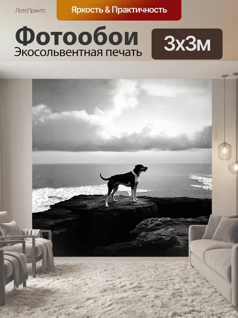 Фотообои черный и белый лабрадор