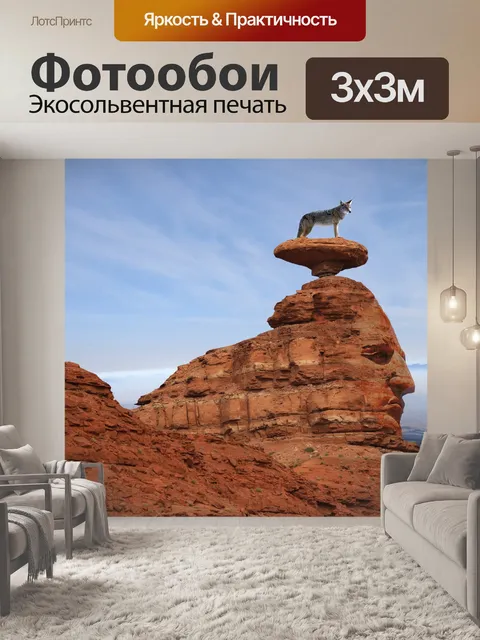 Фотообои Голова