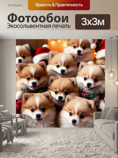Фотообои щенки шпиц, пушистые питомцы, новогодние шапочки, рождественские шарфы, мягкий плед,