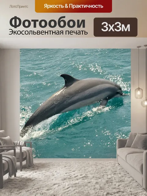 Фотообои Дельфин
