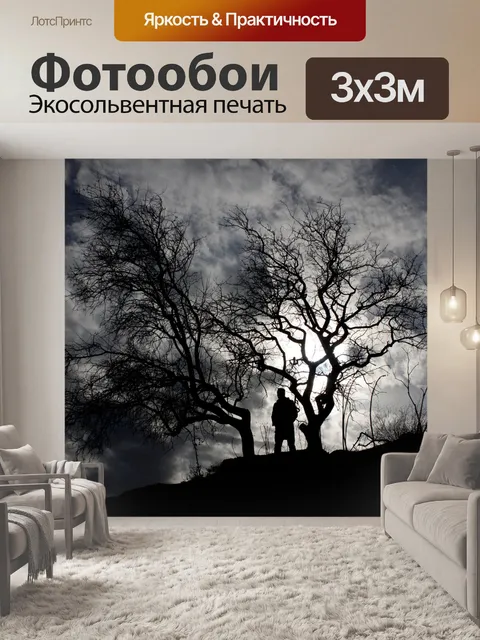 Фотообои Силуэт