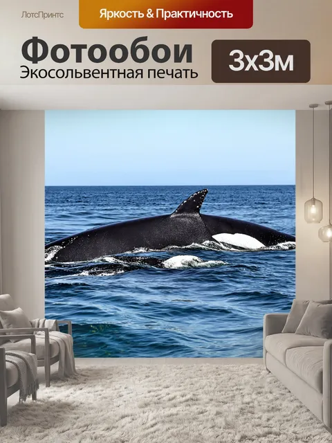 Фотообои семейство китов, играющих в океане