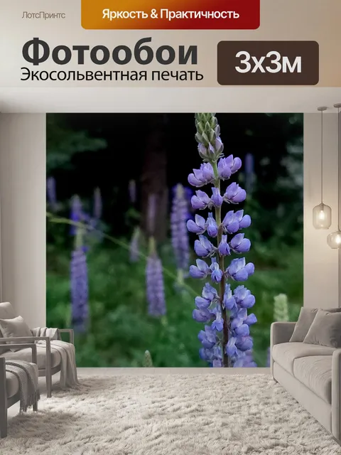 Фотообои Горный люпин
