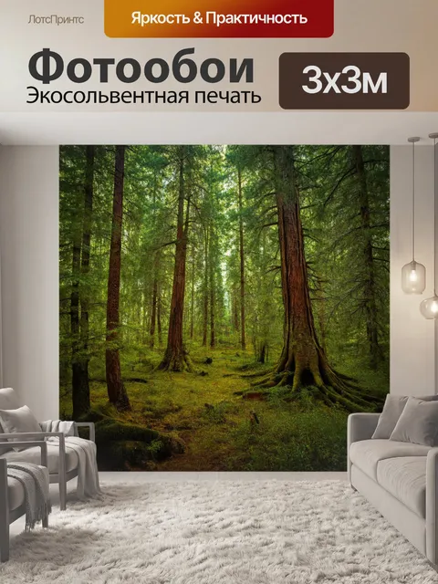 Фотообои россия леса — старые леса с величественными деревьями