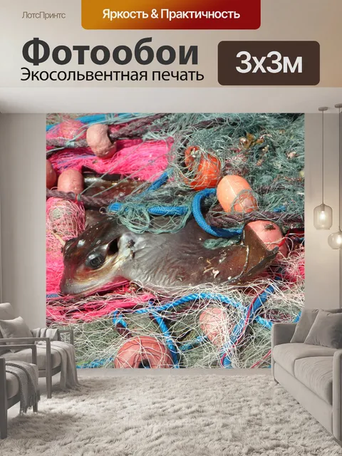 Фотообои Пойманный