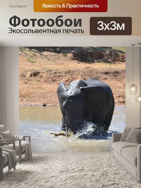 Фотообои Слон