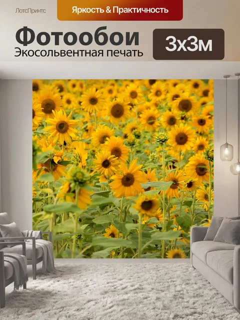 Фотообои Подсолнух