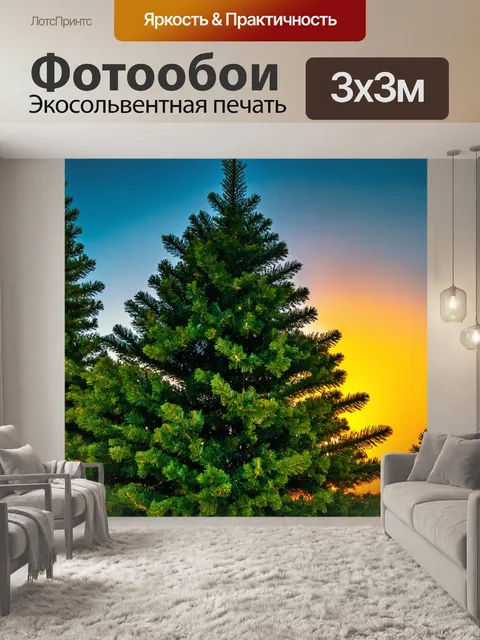 Фотообои вечнозеленое дерево на фоне заката