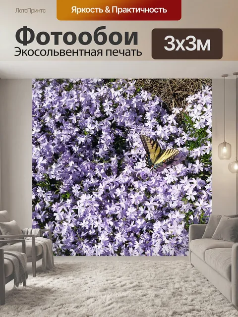 Фотообои Бабочка на цветке