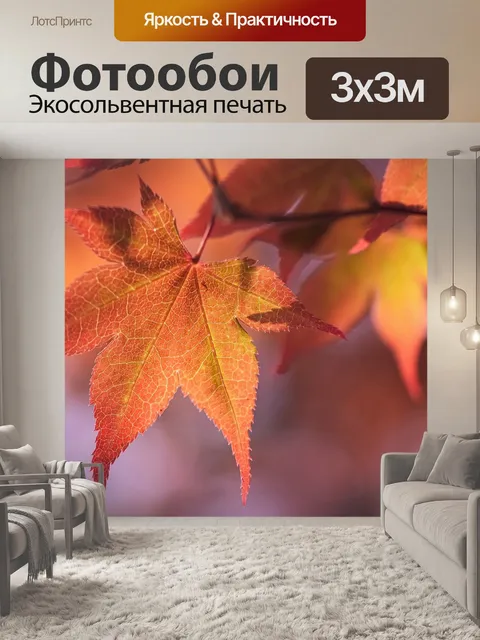 Фотообои Японский клен