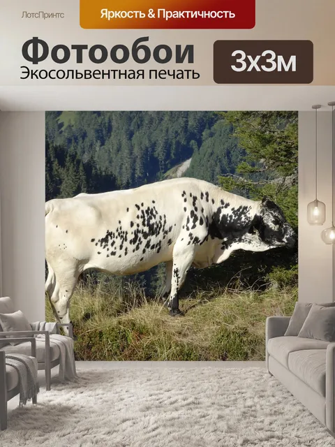 Фотообои Корова