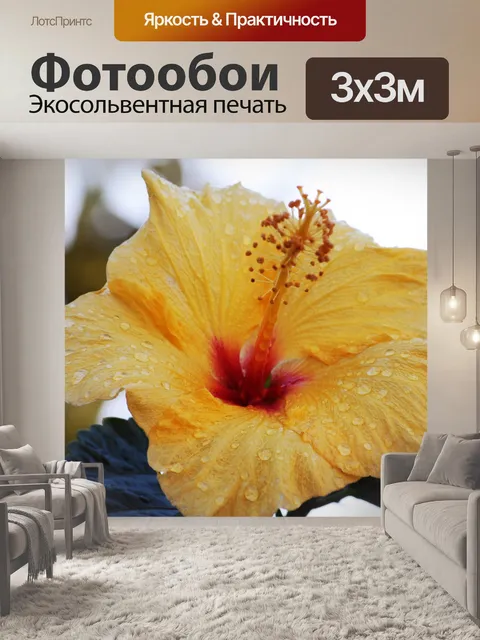 Фотообои Желтый цветок гибискуса