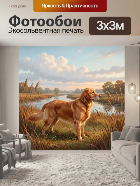 Фотообои Ретривер у реки на закате