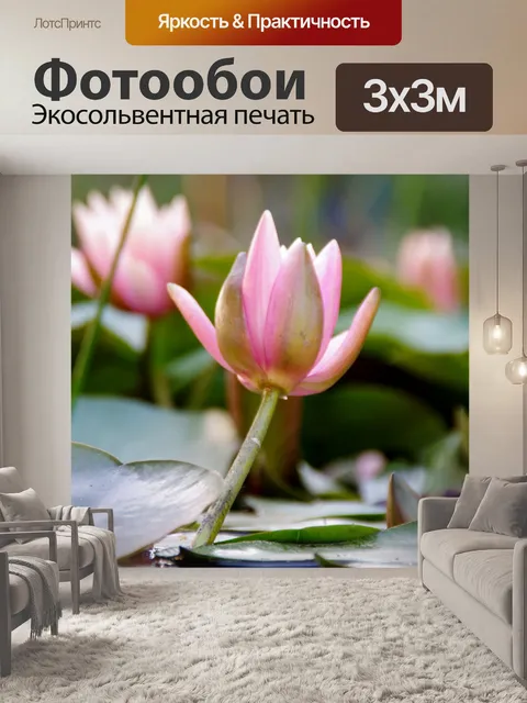 Фотообои Цветы лотоса в пруду с лилиями