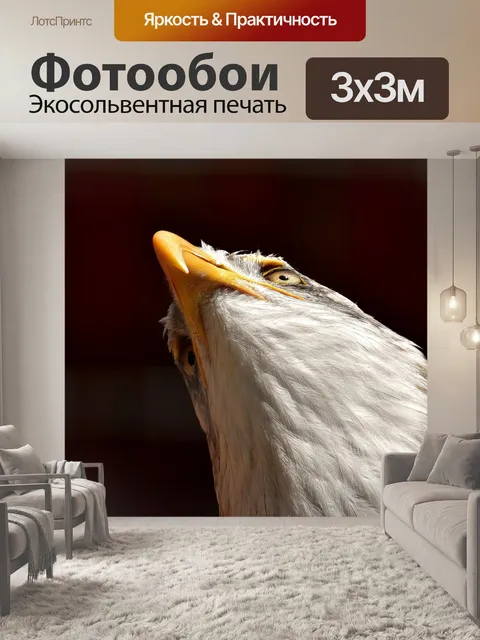 Фотообои Орел
